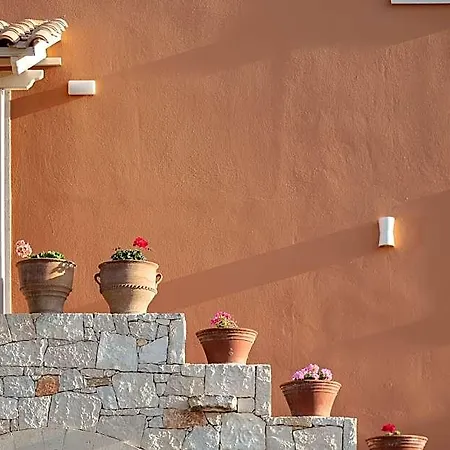 Dia Apts Hotel Hersonissos (Crete)